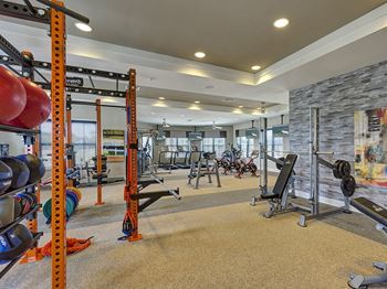 Fully Equipped Fitness Studio featuring Crossfit Box